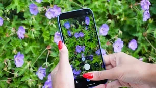 Own a Pixel 11 Pro Fold? You can add device protection for $5/month, but at $1,899, should you?